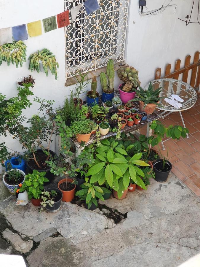 Casa Vera Vejer de la Frontera Eksteriør bilde